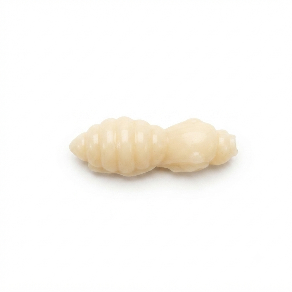 Cocoon