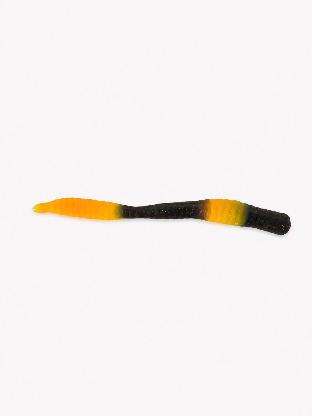 Slim Leech